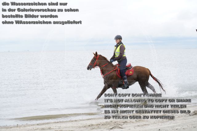s_K3F04810.JPG